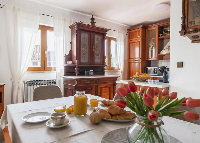 Apartment Nika