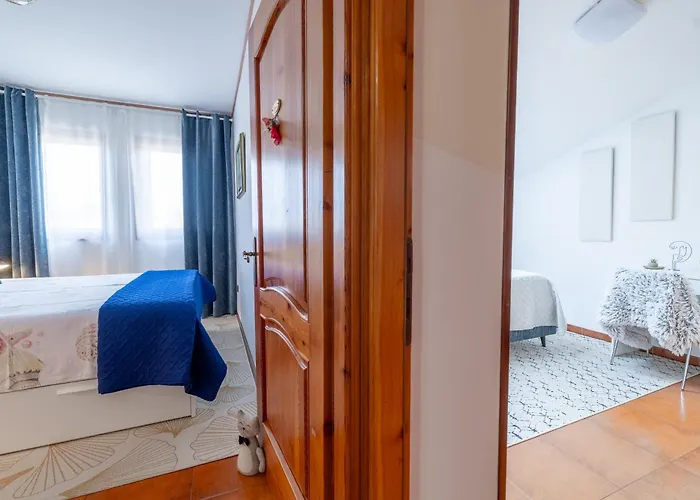 Apartment Nika